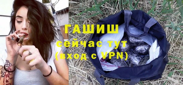 прущие грибы Чердынь