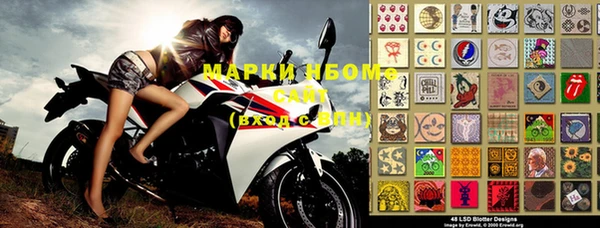 прущие грибы Чердынь