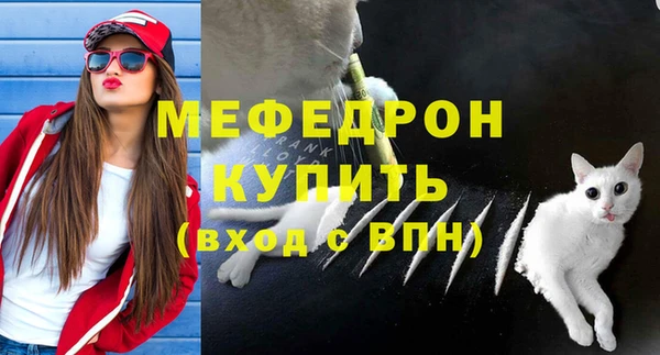 прущие грибы Чердынь