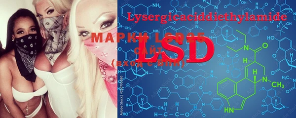 прущие грибы Чердынь