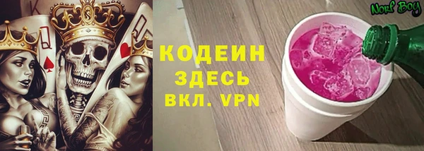 прущие грибы Чердынь