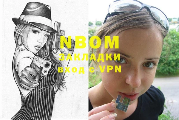 прущие грибы Чердынь